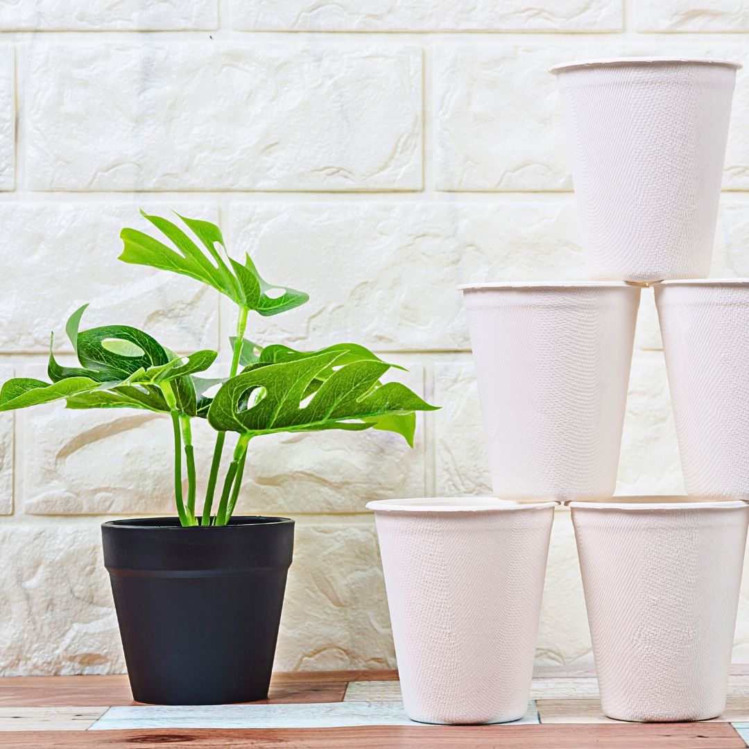 Limpeza ecológica para casa com LOC Amway Home