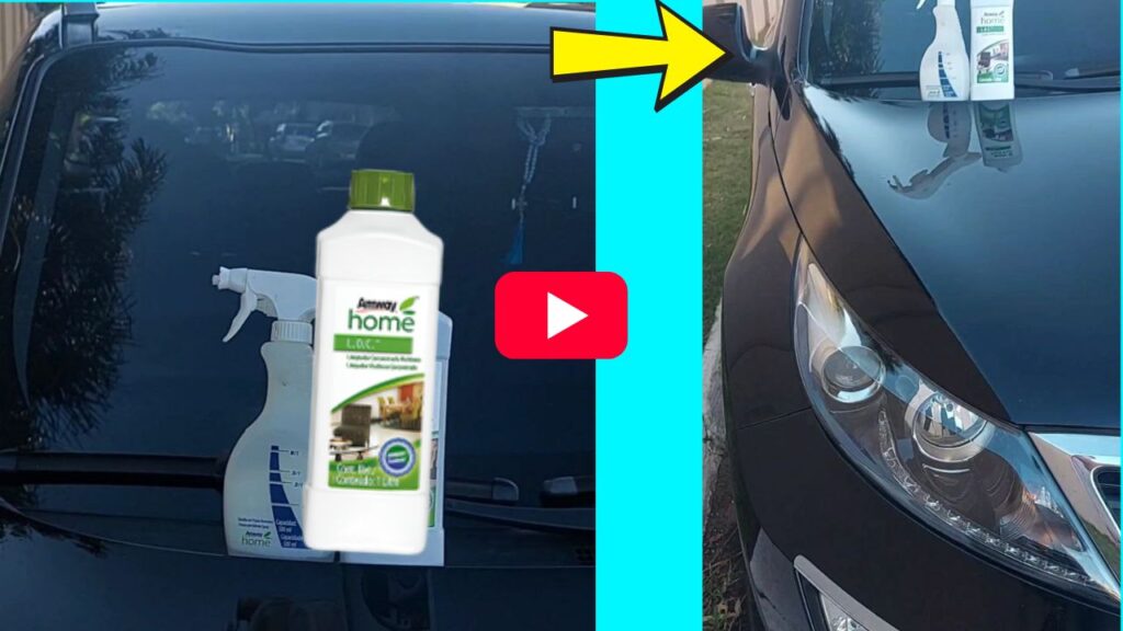 Adir no vídeo do youtube limpando o carro