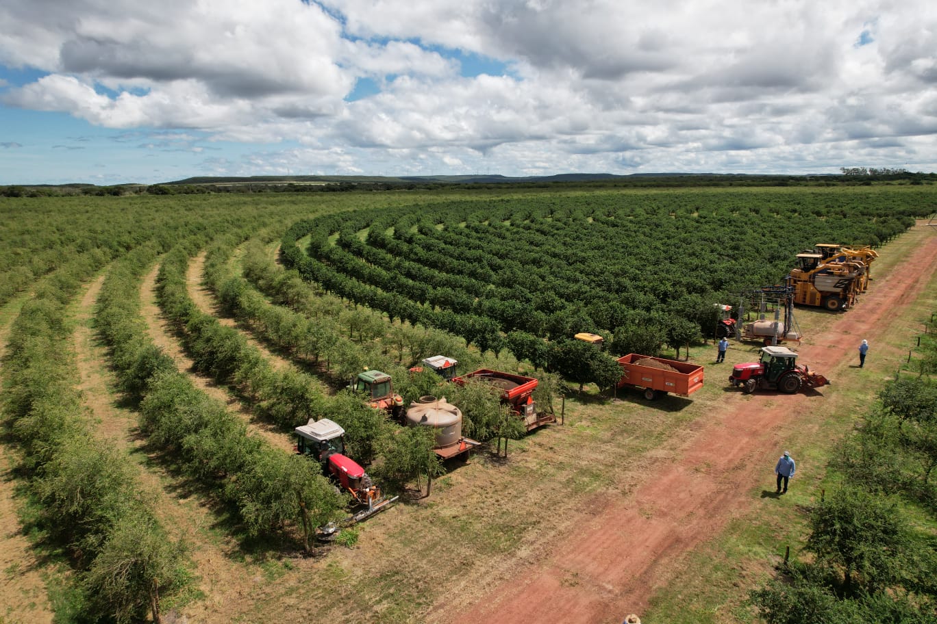 Fazenda Nutrilite em Ubajara Ceará